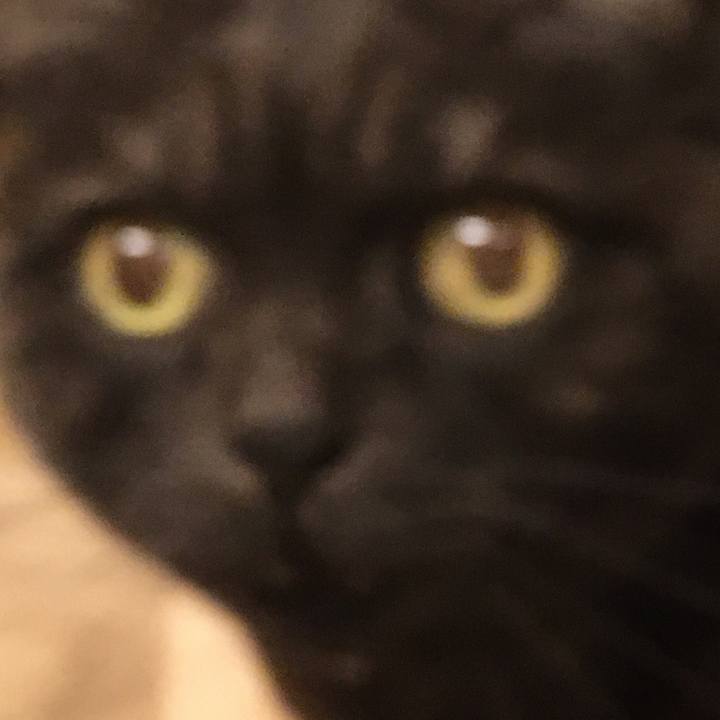 823e90ca 4a1b 4af7 a2b5 4219154ba63e 1584448153393