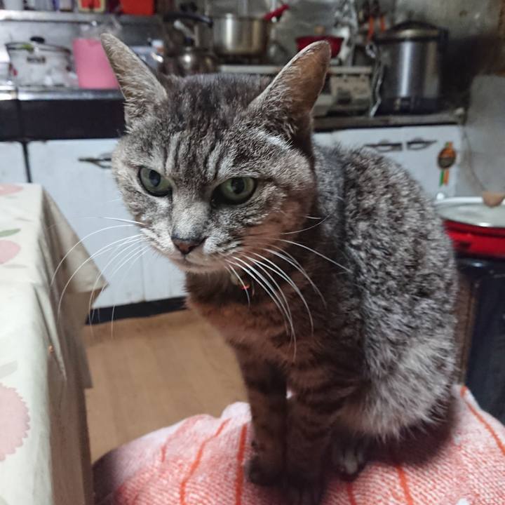 823f199c 01ed 4097 9245 c1ea3835945d 1584564906020