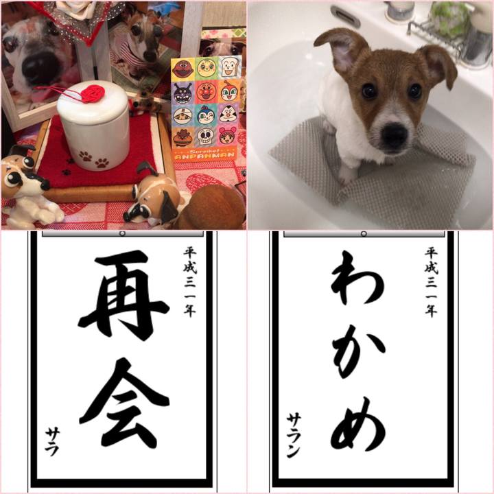 823f4e60 2933 44bc 9b6d 1e0c77e91ff9 1546389051087