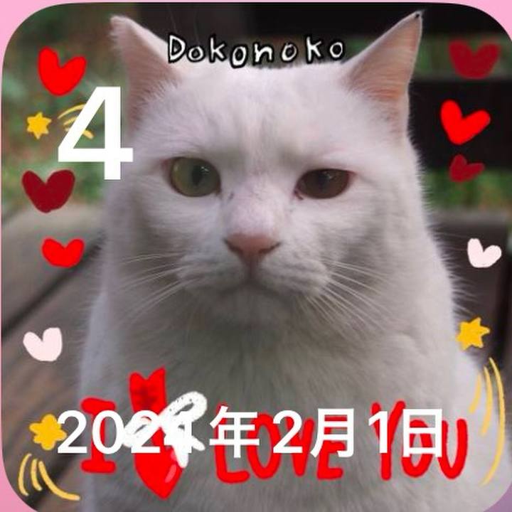 823f8627 6988 484e 9dc3 9f8dea2bc48b 1738638681477