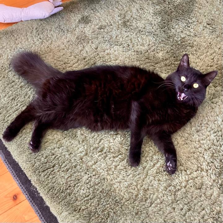 823f8a2e 2c4c 4276 81bc e7f99a93340e 1735624140708