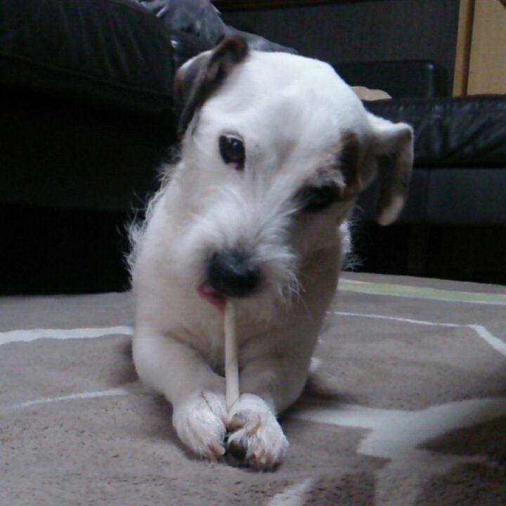 823fed9c 7f4f 437e 8254 c6f5dcded835 1520379322261