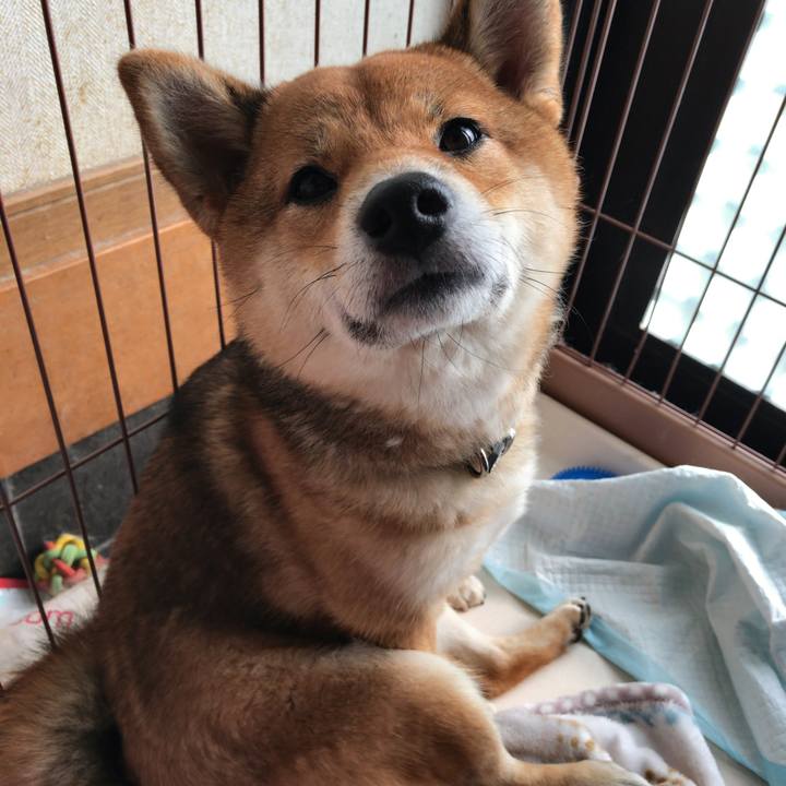 823fee8a c39f 474f 969e bf6c67732c23 1522568737307