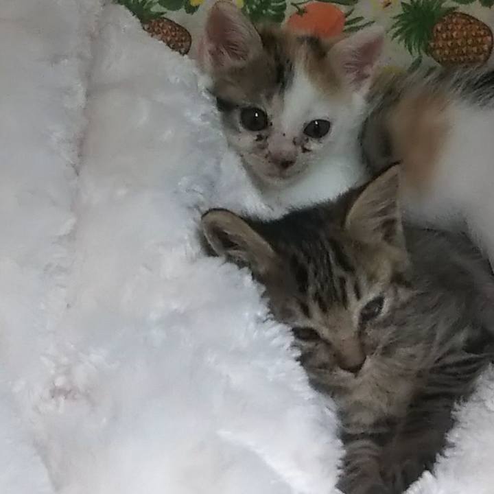 8240451c 4aa3 4164 a23e 126088c906a6 1632387990298