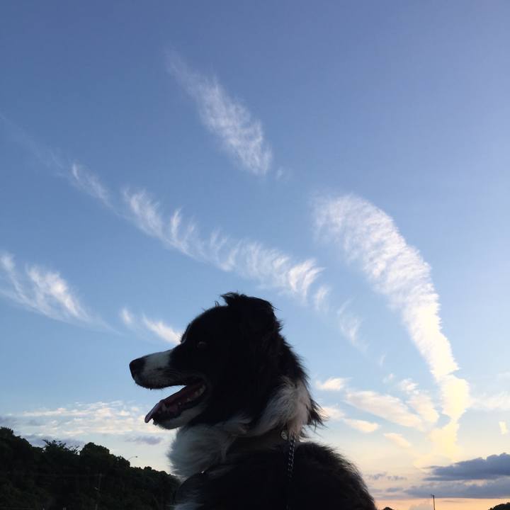 8240739c a9eb 448a b1a8 96d1f1baa59d 1564050786892