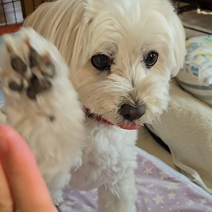 82409443 dae8 49b8 bb09 cbf194ac074a 1781332359931