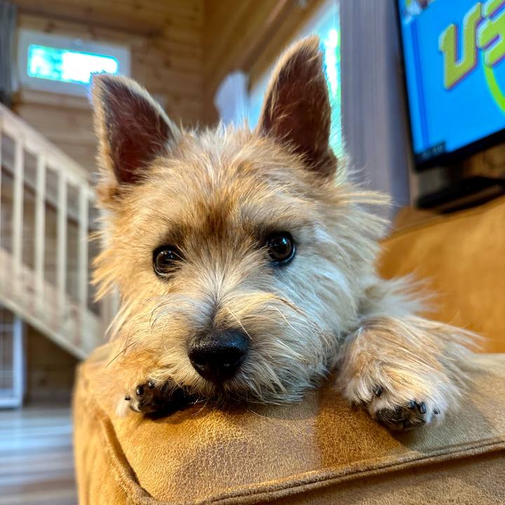 8240af4a 4ea6 44a1 89cf b72197d28a9d 1717305597803