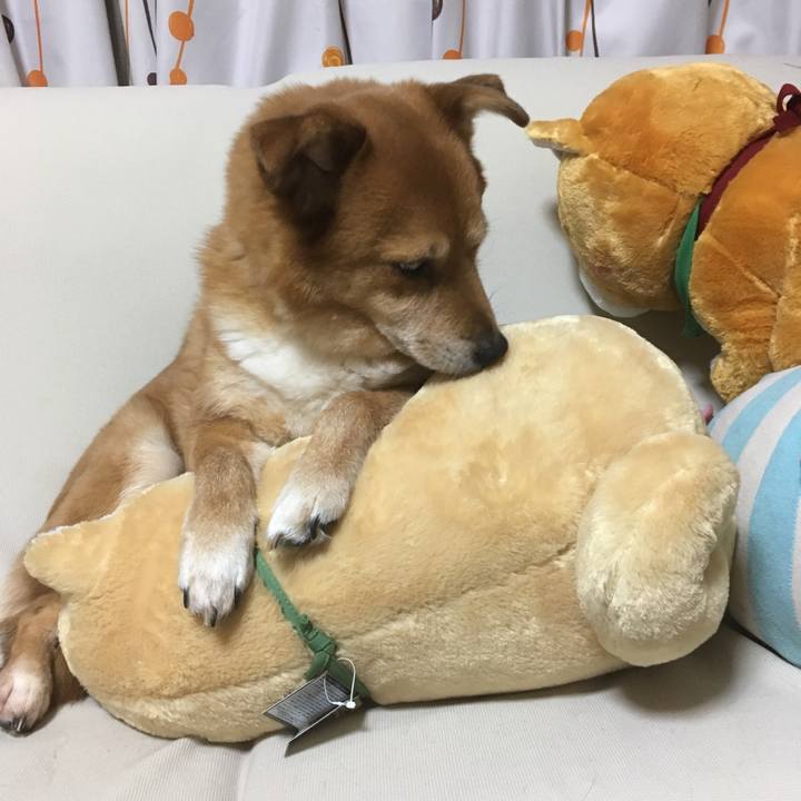 8240d826 6f8f 4145 80de e0942ccc65bb 1523109665759