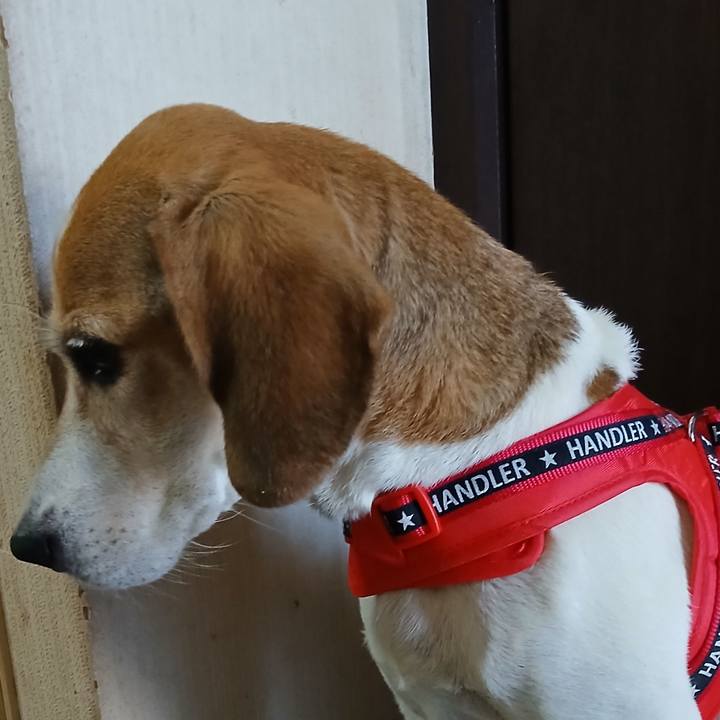 8240e6d5 3dff 4114 a7f8 390cf2211e92 1757917671403