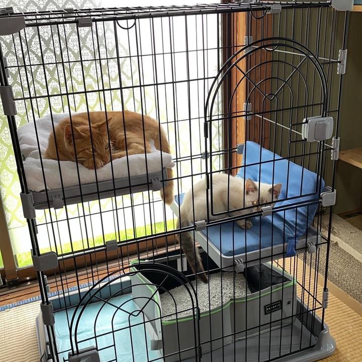 8240e6f4 bda2 4847 a0c7 d4d2d2f82523 1729114093392