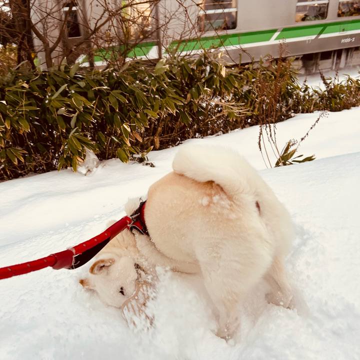 8240eb4f e2ac 4965 8dbd f0d2e3c0c7dd 1702510425922