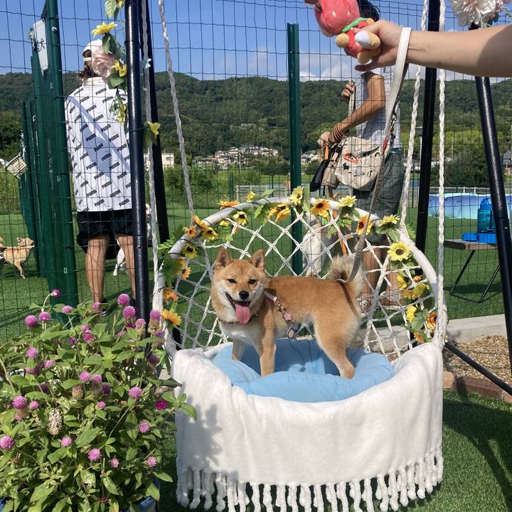 824143df 09b6 4f1c b991 50068120f061 1757204328977