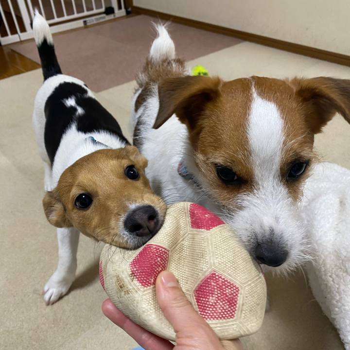 824185ff c399 48e8 8ce1 2417a3f10cba 1749682440923