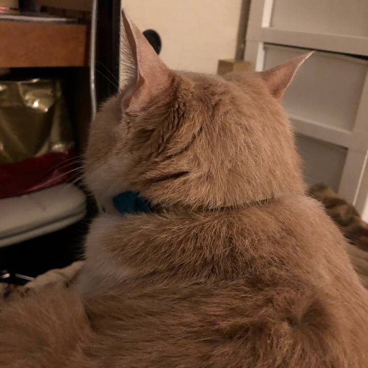 8241e3cc 2411 42e7 8a78 fb9e00601156 1581246214014