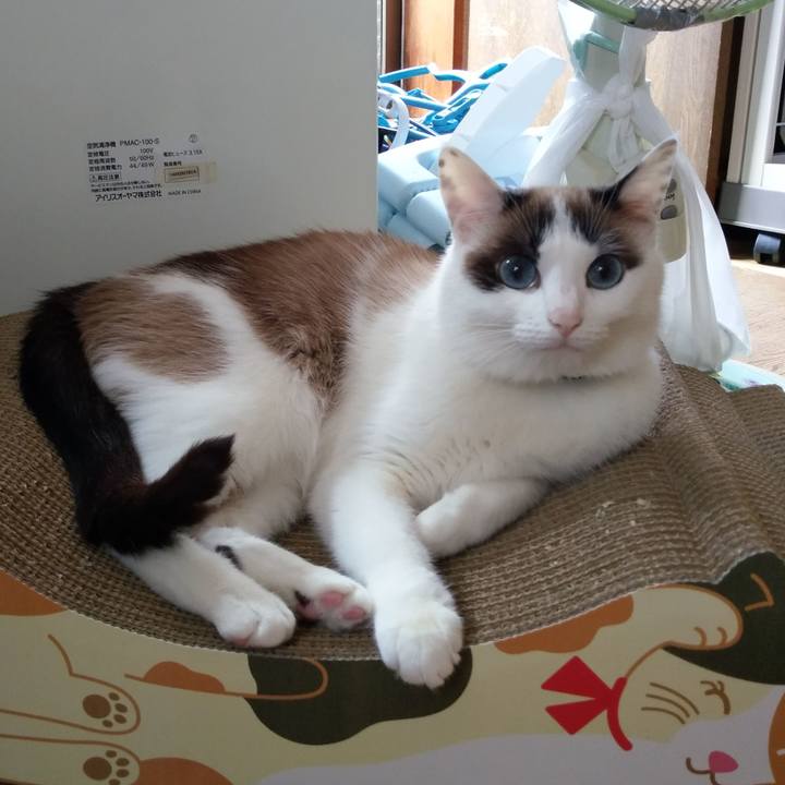 82420c8c 5e57 4bc0 8fba 53ea9993fe5a 1620949051427