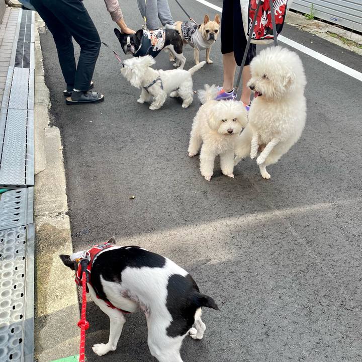 824229e0 126e 4695 ae98 57b86a7d0aab 1621666235032