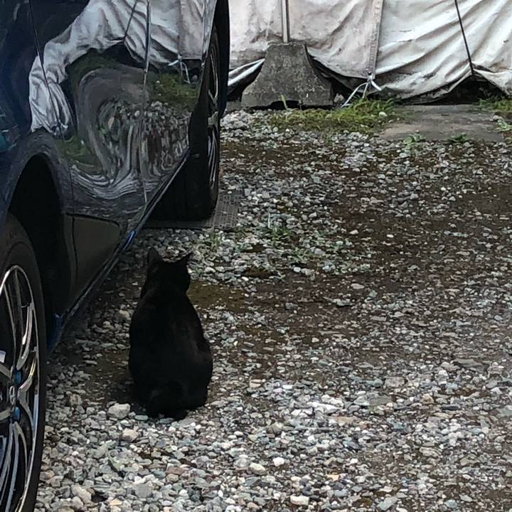 82424327 74fe 4dd3 90fb 614a2d4698da 1531429978237