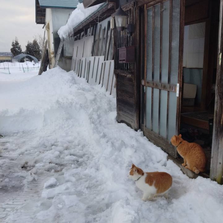 82425619 d0cb 46b3 8286 2f80b749eddc 1767942509307