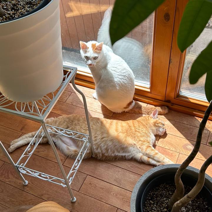 82428451 4a61 4019 90cb 94b5a559dbf1 1689557674461