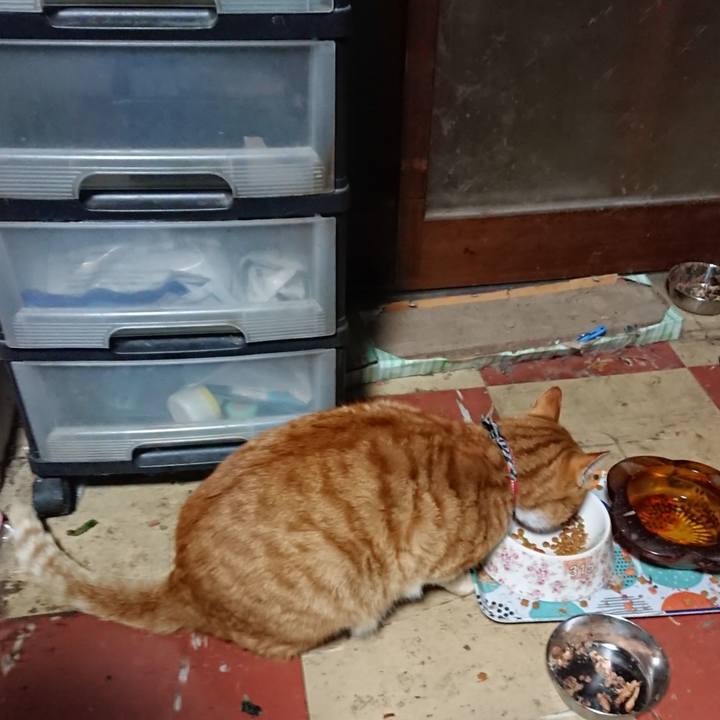 8242d485 e542 4470 82f5 62a12a978c15 1575753093126