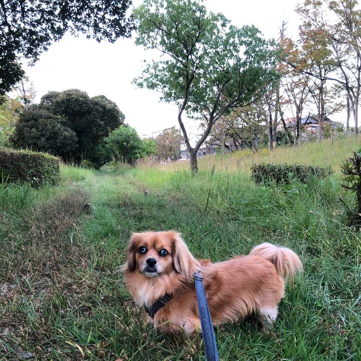 8242eba7 64d4 41e4 9949 4ba171210a66 1571178266158