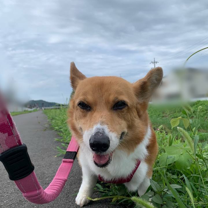 8242ee07 79ea 47ed a87d 958414bb6c29 1689893811173