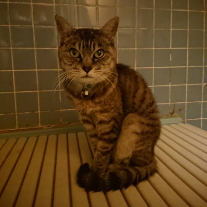 8243279d ab7a 4164 a1ac 27e7f98a0952 1570700532821