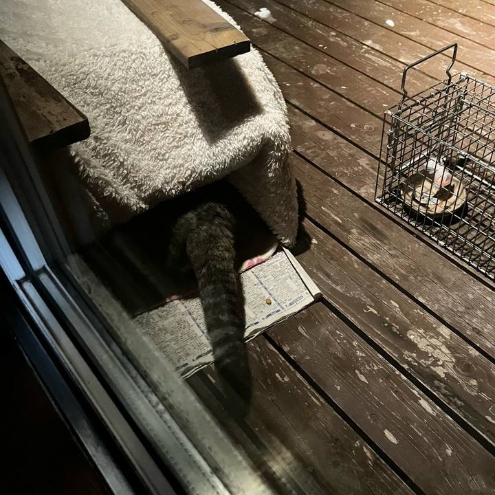 82434bf5 31a8 40c7 ac91 3d551532be49 1734446411266