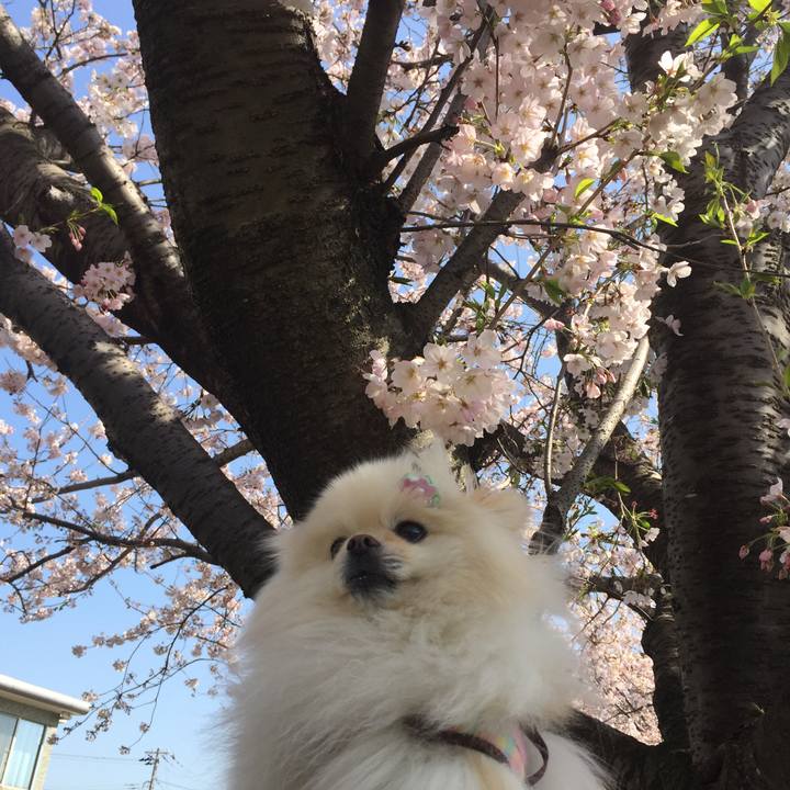 82436352 9ae8 4d97 be17 54faa97daf48 1585880934306