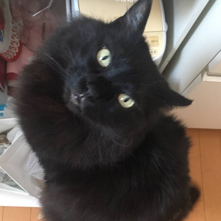 824368f1 0838 4a43 93b6 affc429d9fda 1552838533588