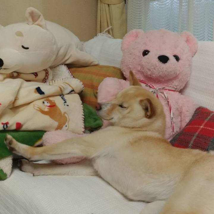 82438cfc 7401 4d04 b43f 1adfc2705dab 1526551194536