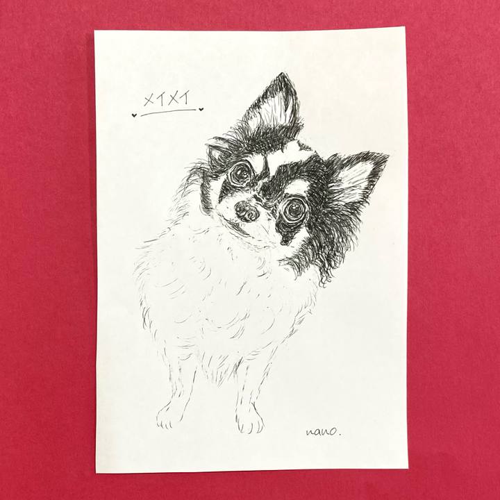 8243a954 1717 486a 8ce5 617ba8670820 1650073155918