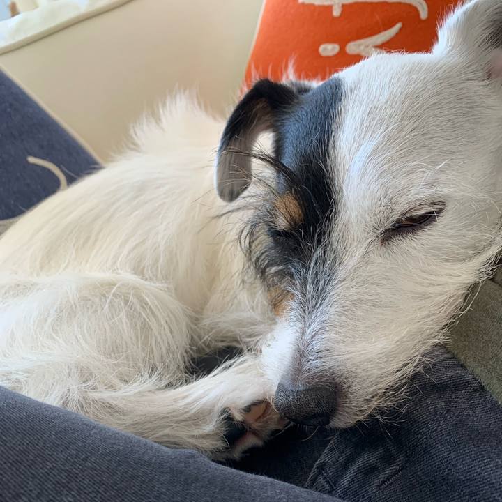 8243ab39 9e79 4432 b620 42098ba5c9c5 1698282094823