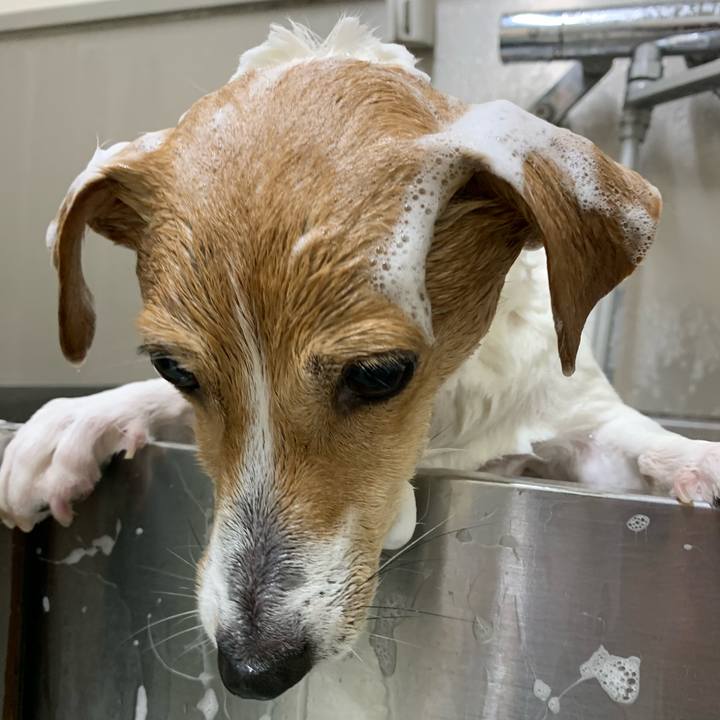 8243c25d 5e85 4e4a bcc0 374650b2acd6 1609226388363