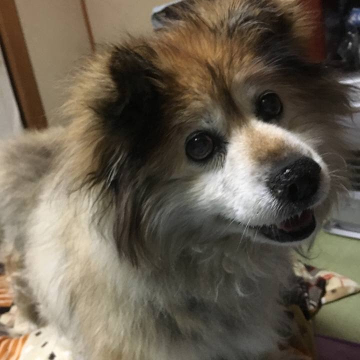 8243d97b 1f74 47cd 98a2 df32d88dd3b4 1592919461366