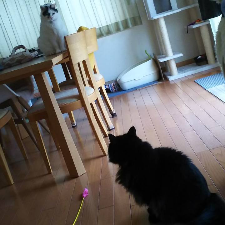 8243f540 12ad 4057 9cd0 0ba6941d3dcd 1569105208215