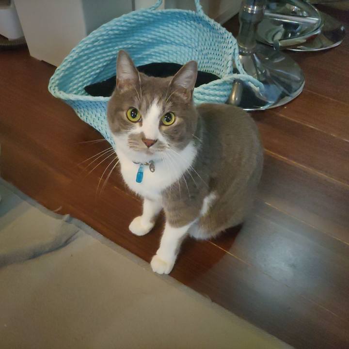 82441743 1127 43d0 954b 2154c5ad0b72 1679004470275