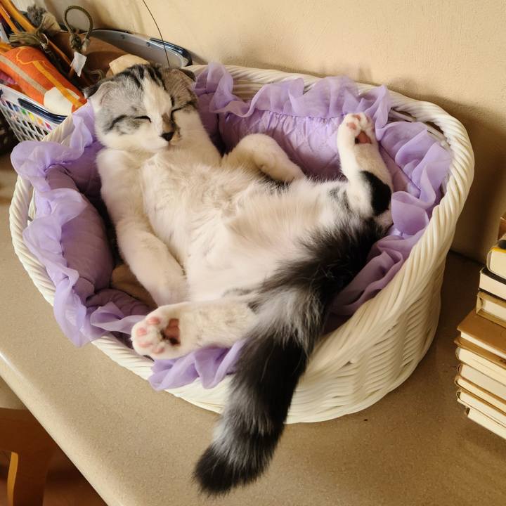 82442392 d174 44c5 85c6 dcc1c0b0ceba 1632989123005