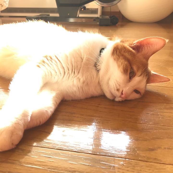 82445850 1bc9 46aa a28c 2e2d6a23f156 1602895660501