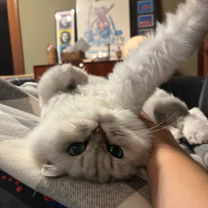 8244bb60 fa8d 4960 9cad 3ae15bb6c369 1666179095603