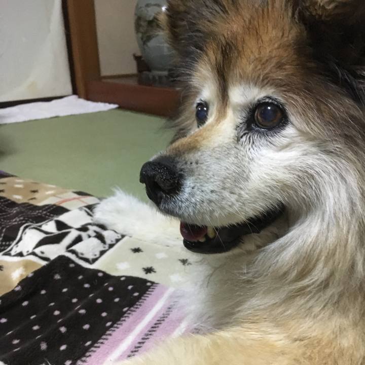 8244da26 1ec2 4689 a792 0565e505defe 1564737595009