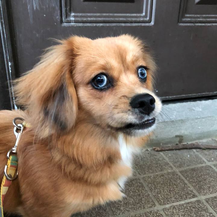 8244da7d 8839 4b63 b98b 91410acc472d 1509056055068