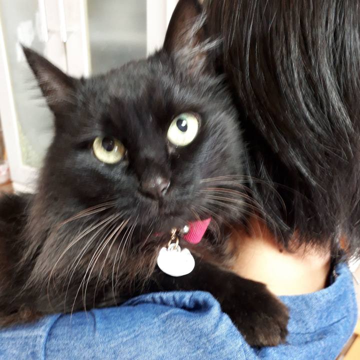 8244e0a7 2045 4c99 abc1 8058d323590d 1545909840082