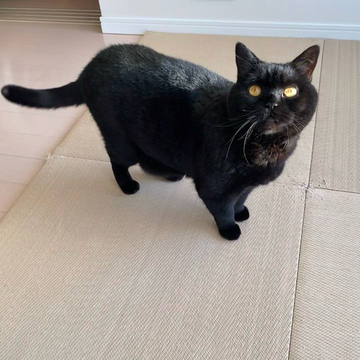 8244e10a afe7 4729 b395 05a7a3093ae3 1769739122304