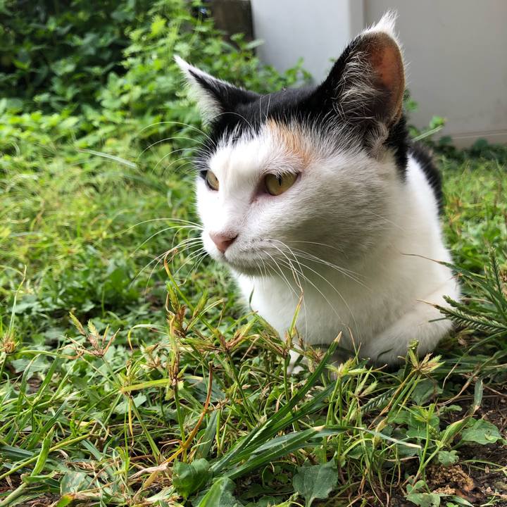 8244e7e8 1910 4dc4 a569 bfd6a57d0abf 1599983832410