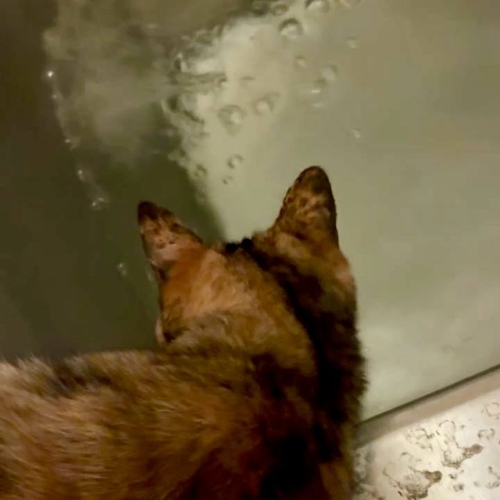 82454132 70ce 4754 bf7d 1b933fc348b8 1747254061630