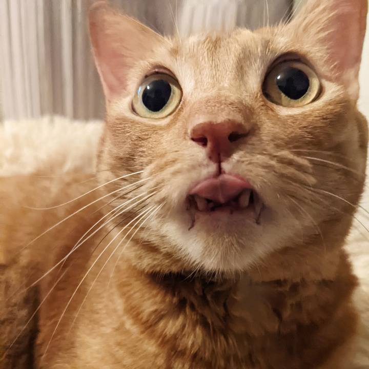 82457616 e8be 43ad a642 8233737475b5 1661085953588