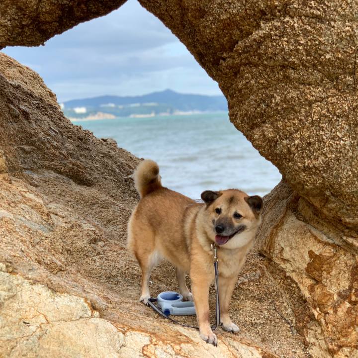 8245a268 4794 4dcf bf05 8cdb52a4c1ba 1538791675481