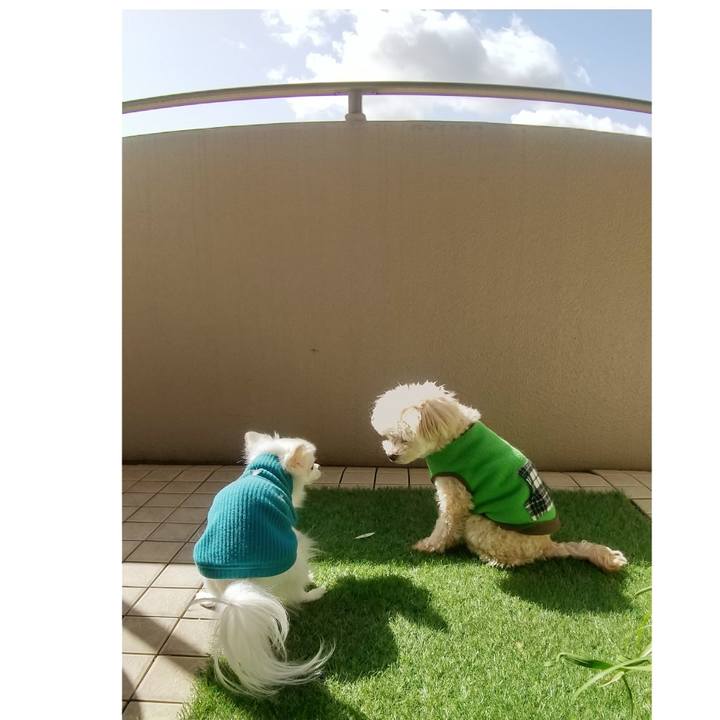 8245c522 24a5 4592 b8be ee0c9198ef54 1648553466903