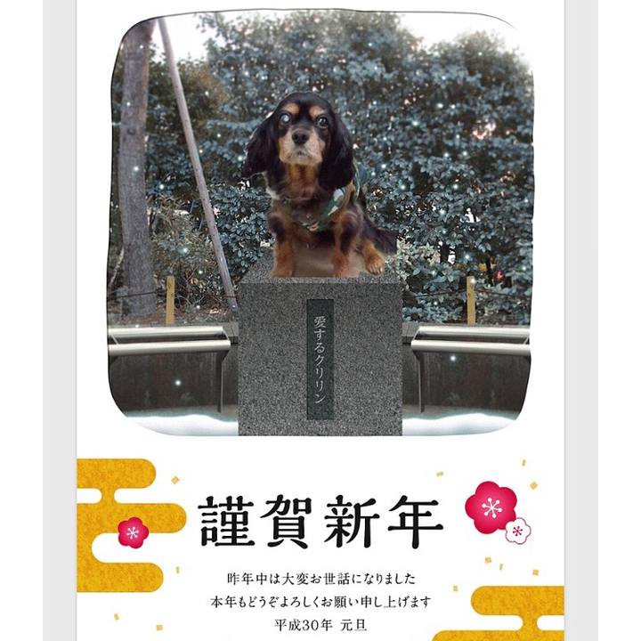 8245ffea 9d54 4328 8ee8 3128f7ee1ef2 1515050099578